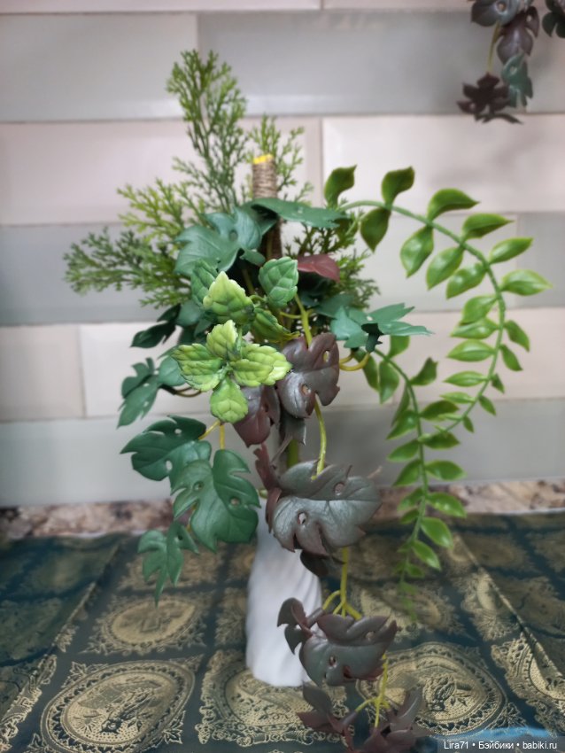 Комнатное растение для интерьера