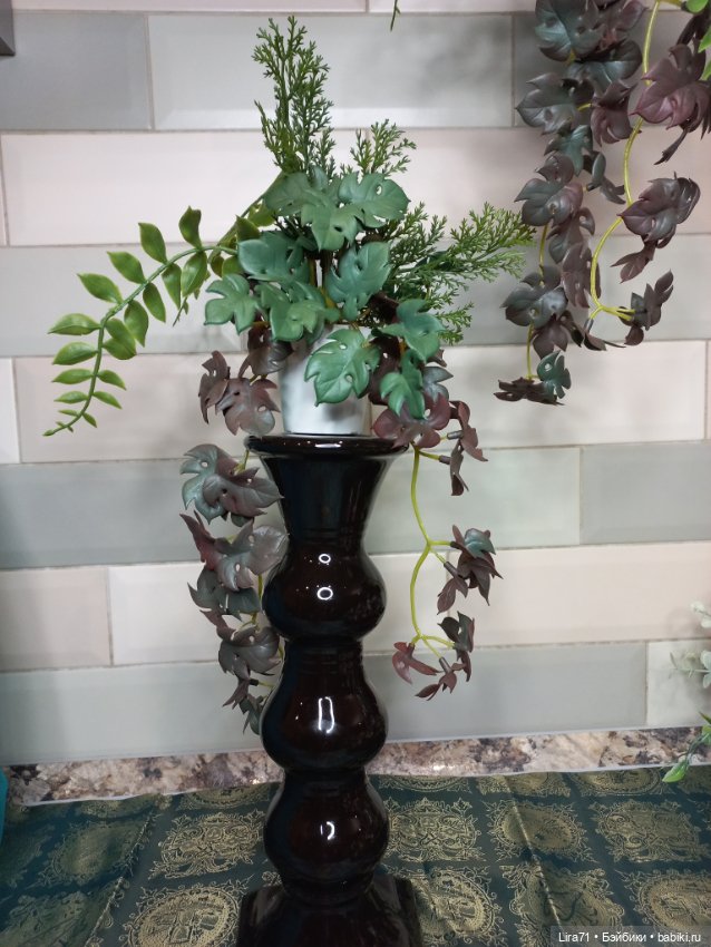 Декоративное растение для интерьера