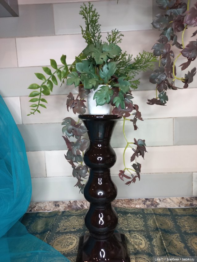 Декоративное растение для интерьера (фото 3)