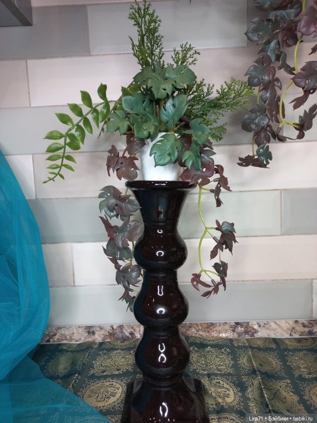 Декоративное растение для интерьера (фото 2)