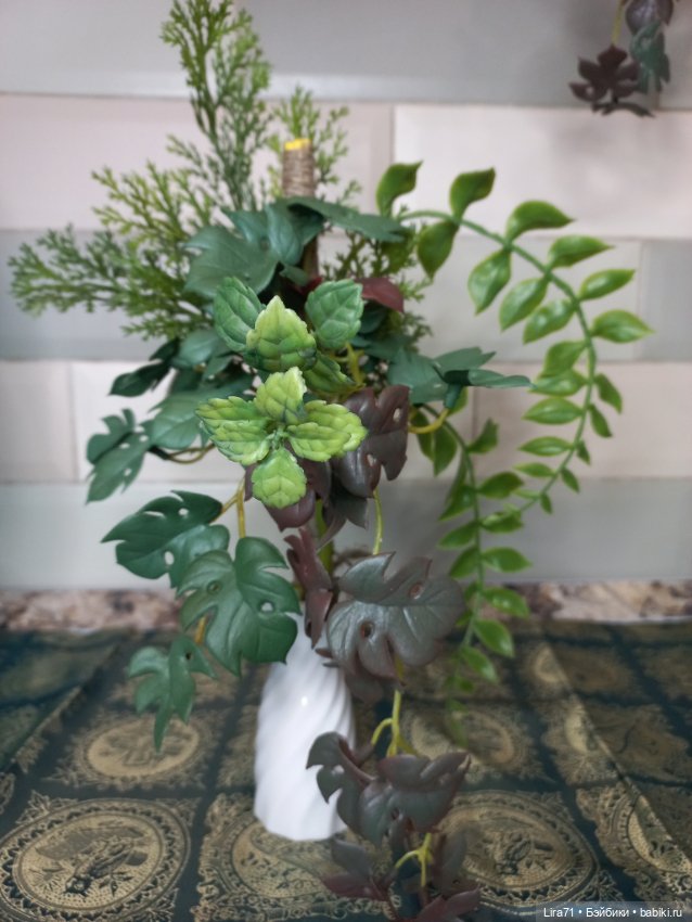 Комнатное растение для интерьера (фото 5)