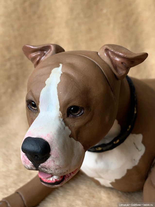 Продам фарфорового бжд пса - стаффордширский терьер мальчик (фото 4)