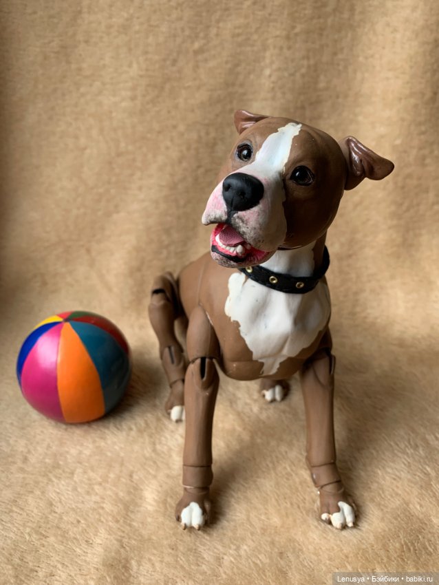 Продам фарфорового бжд пса - стаффордширский терьер мальчик (фото 5)