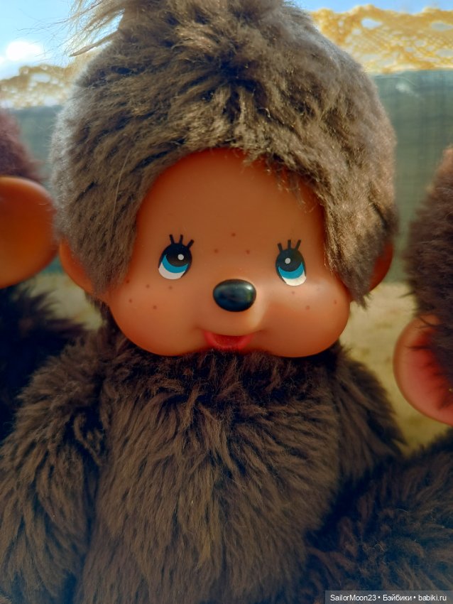 Большое семейство Мончичи (фото 3)