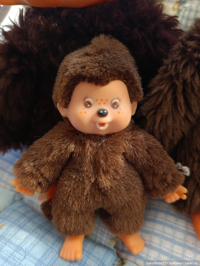 Большое семейство Мончичи (фото 5)