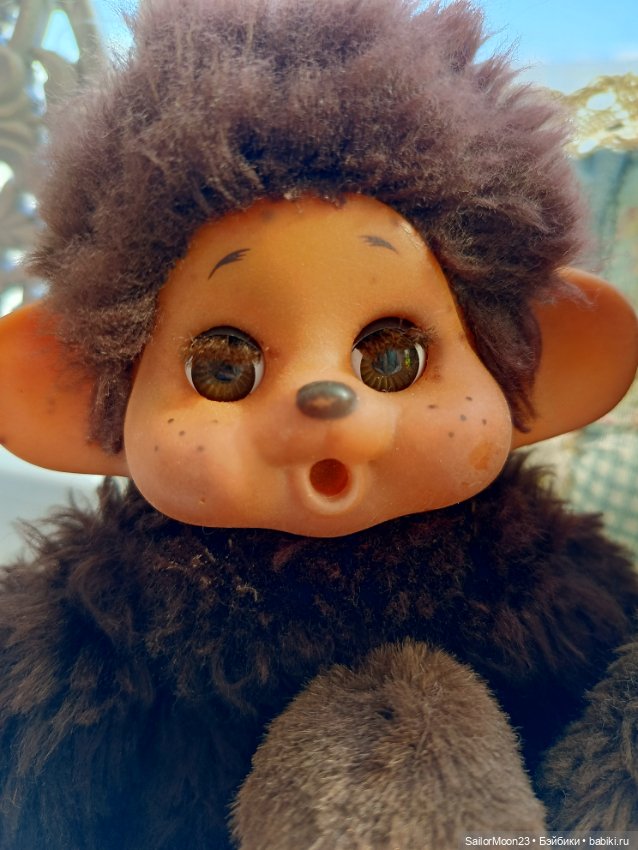 Большое семейство Мончичи (фото 4)