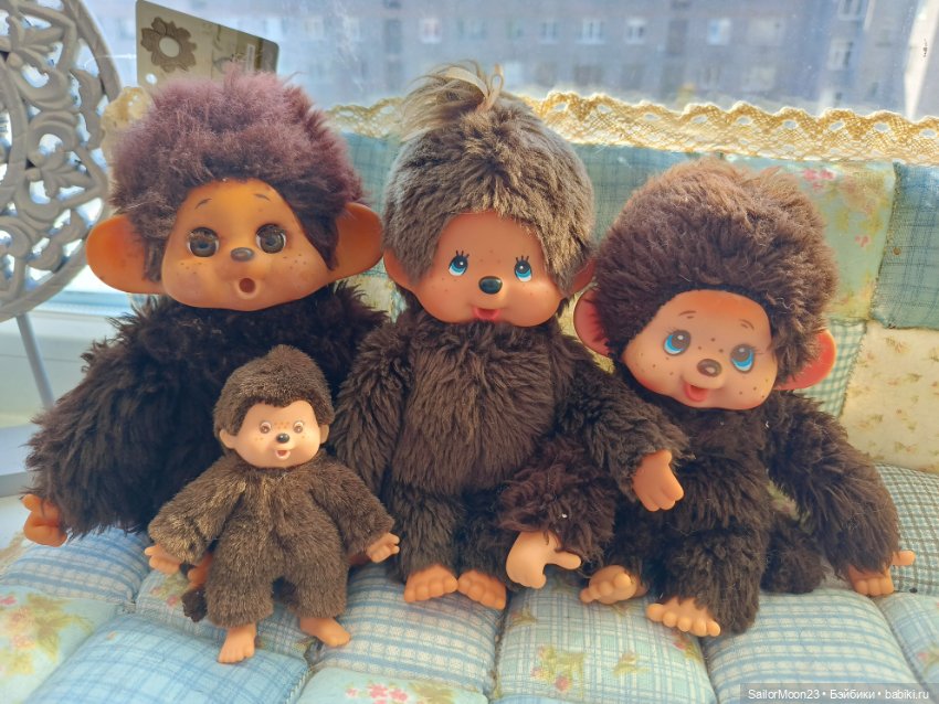 Большое семейство Мончичи