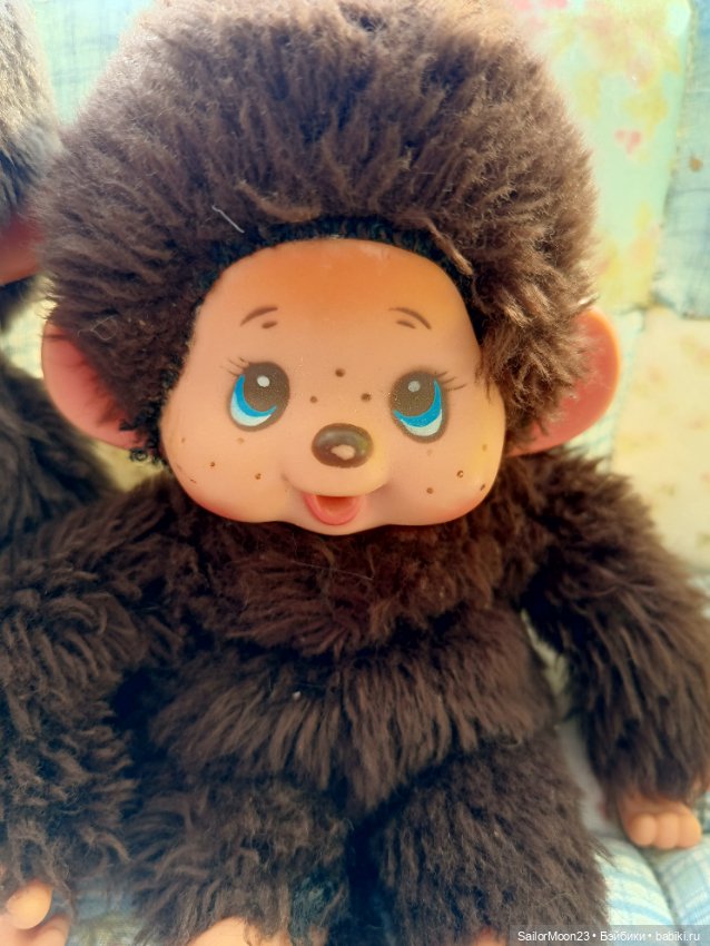 Большое семейство Мончичи (фото 2)