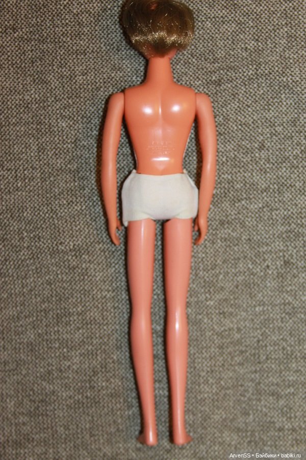 Пьер Каяма (папа Ликки) первого поколения компании Такара (фото 7)