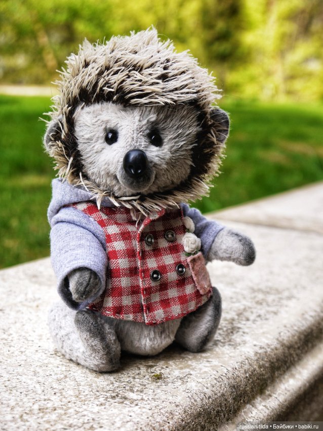 Ëжик тедди в клетчатой курточке