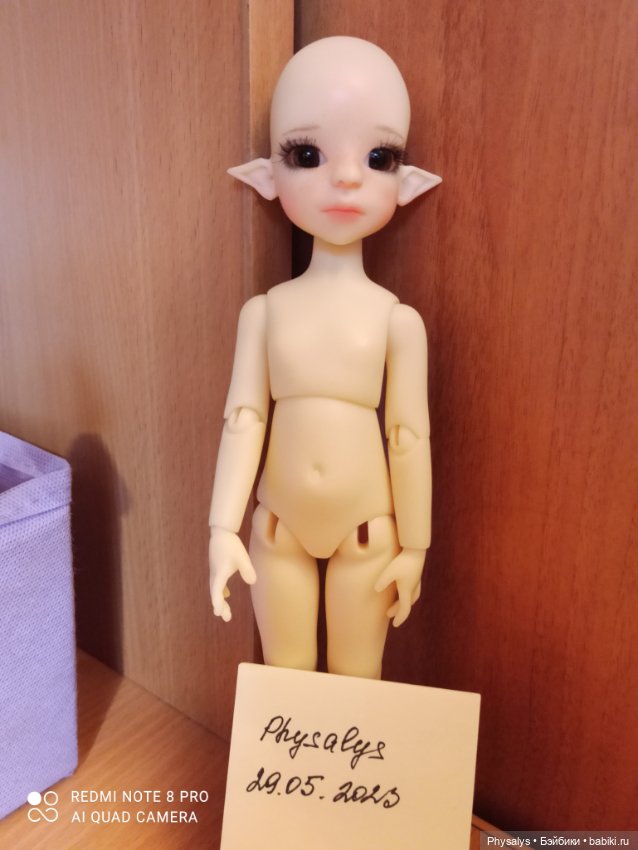 Nutmeg Elf — Куклы BJD (фото 4)