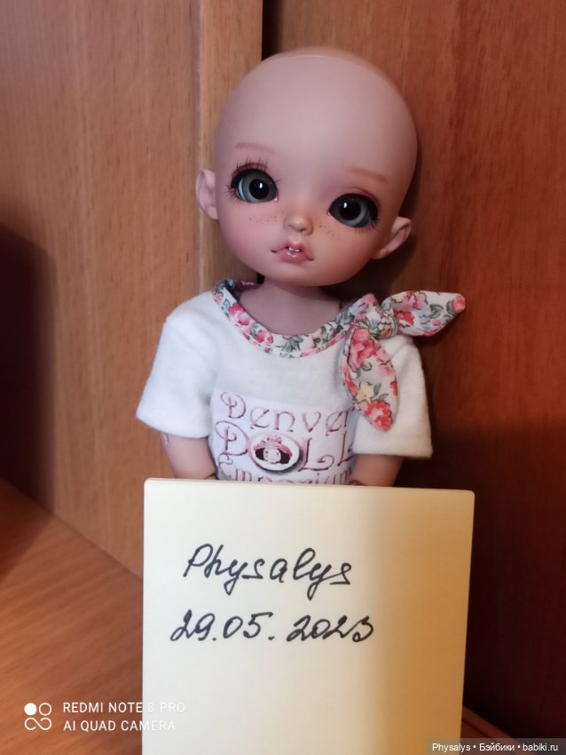Tiny Remi — Куклы BJD (фото 3)