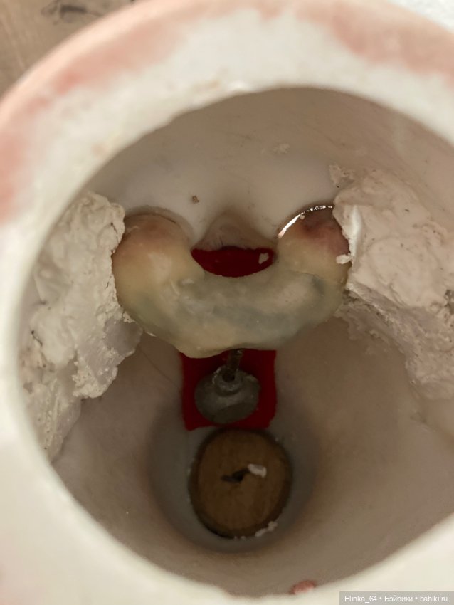 Красавица “Sweet Nell-Alt Beck & Gottschahcr (фото 7)