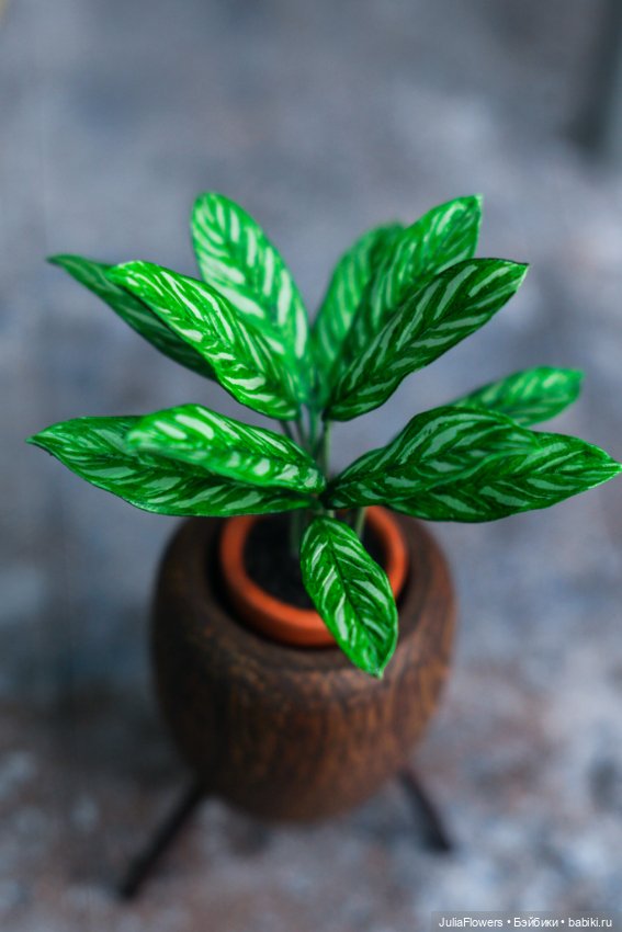 Растение из фильма "ЛЕОН". Аглаонема. Миниатюра 1:6 (фото 2)