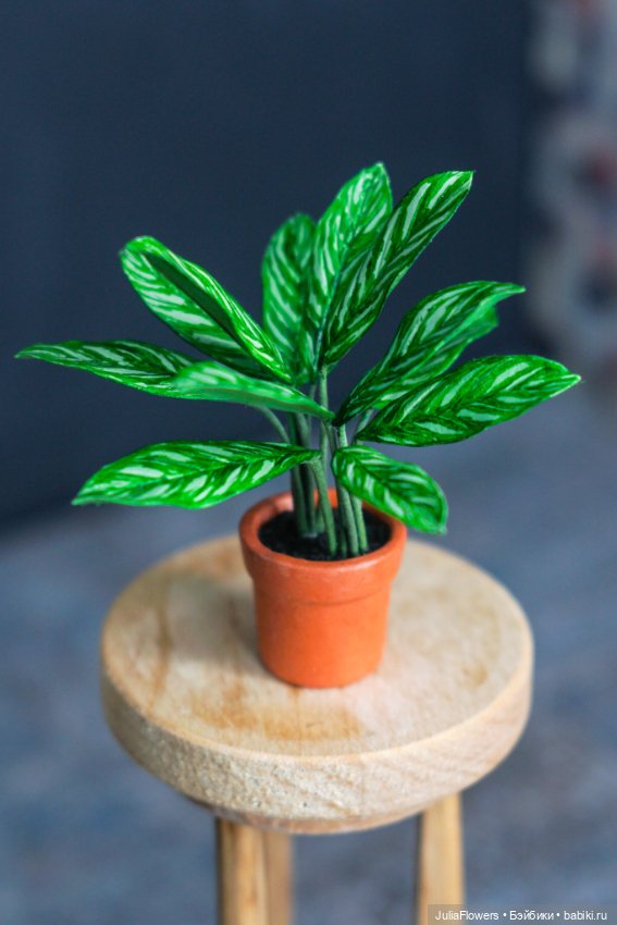 Растение из фильма "ЛЕОН". Аглаонема. Миниатюра 1:6 (фото 6)