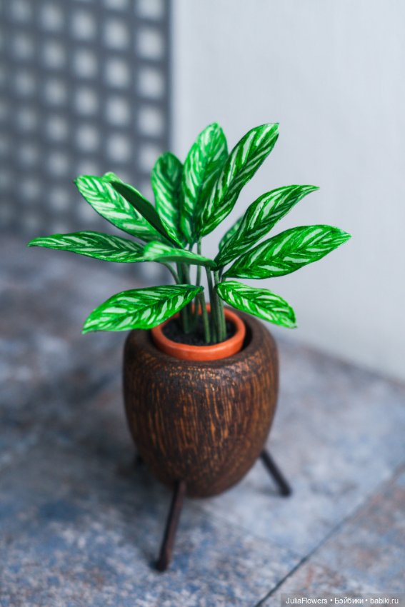Растение из фильма "ЛЕОН". Аглаонема. Миниатюра 1:6 (фото 3)
