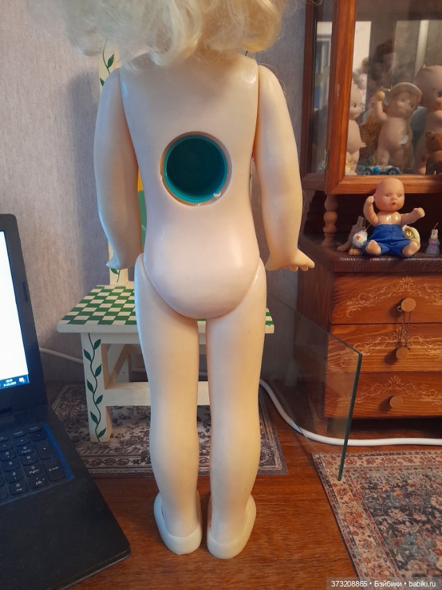 Редкая Загорская красавица (фото 4)