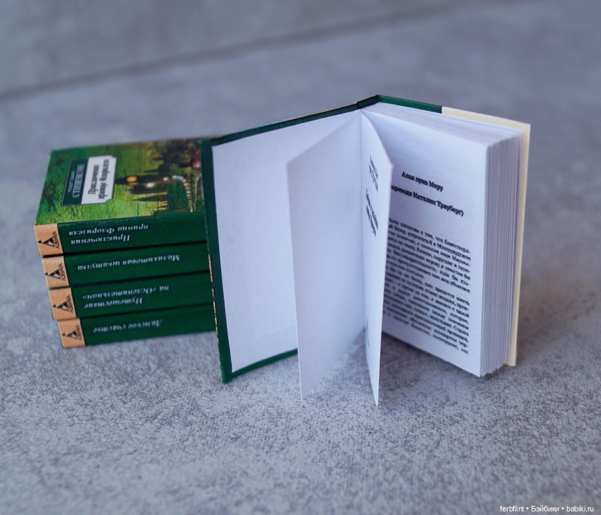 Книги "Классика" №10 в масштабе 1:6 (фото 4)