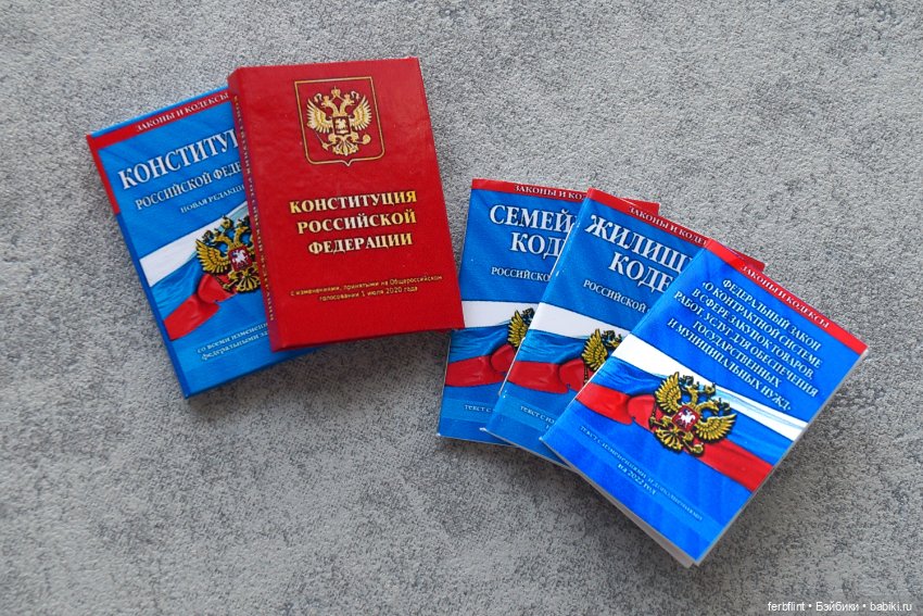 Книги "Конституция и кодексы РФ" в масштабе 1:6