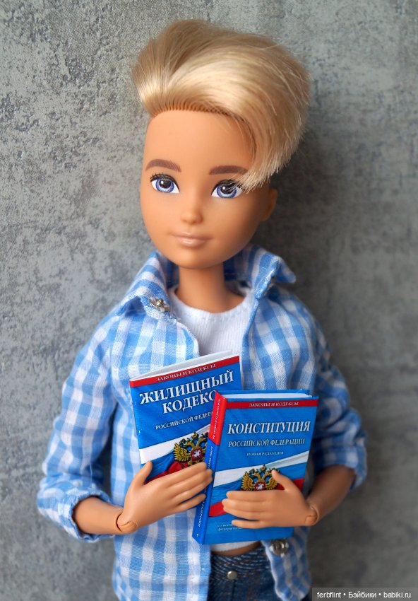 Книги "Конституция и кодексы РФ" в масштабе 1:6 (фото 4)