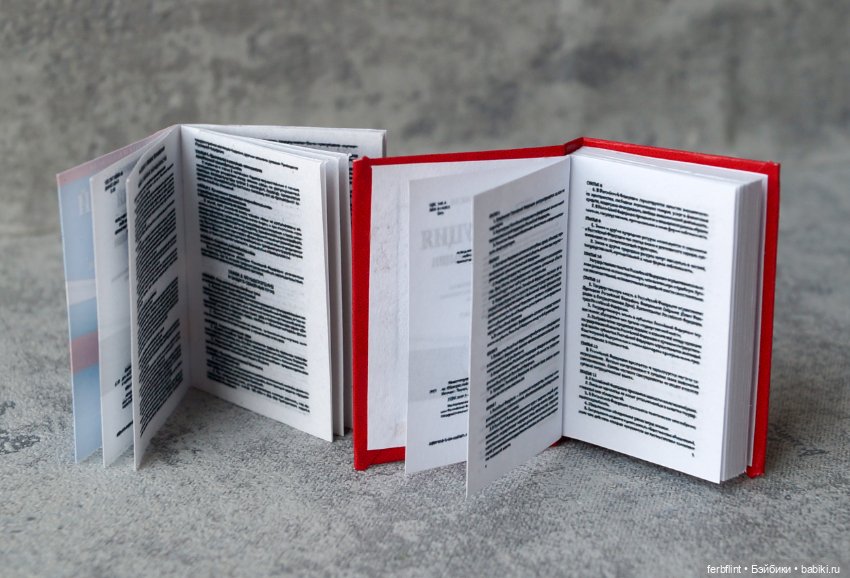Книги "Конституция и кодексы РФ" в масштабе 1:6 (фото 3)