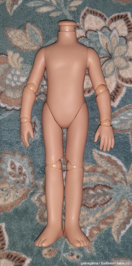 Шарнирное тело Паола Рейна