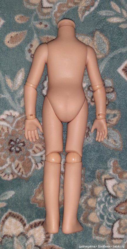Шарнирное тело Паола Рейна (фото 2)