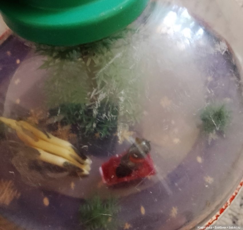 Юла (волчок) с лошадками из СССР (фото 6)