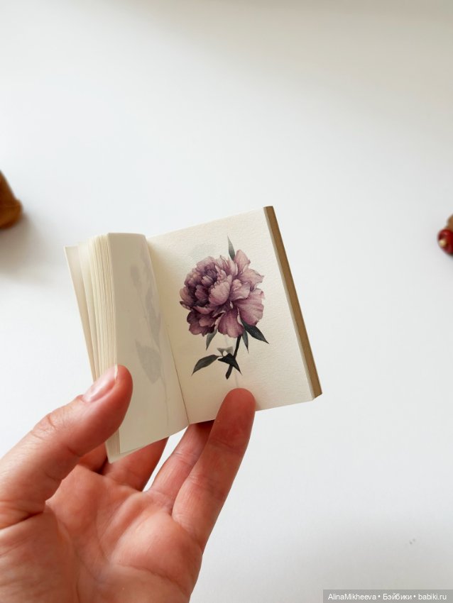 Книги для кукол и румбоксов с красивыми иллюстрациями, 1/4, 1/6 (фото 5)