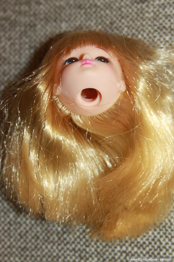 Голова Ликки компании Такара (фото 5)