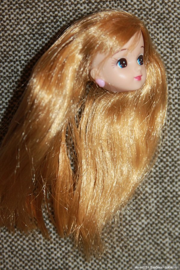 Голова Ликки компании Такара (фото 3)