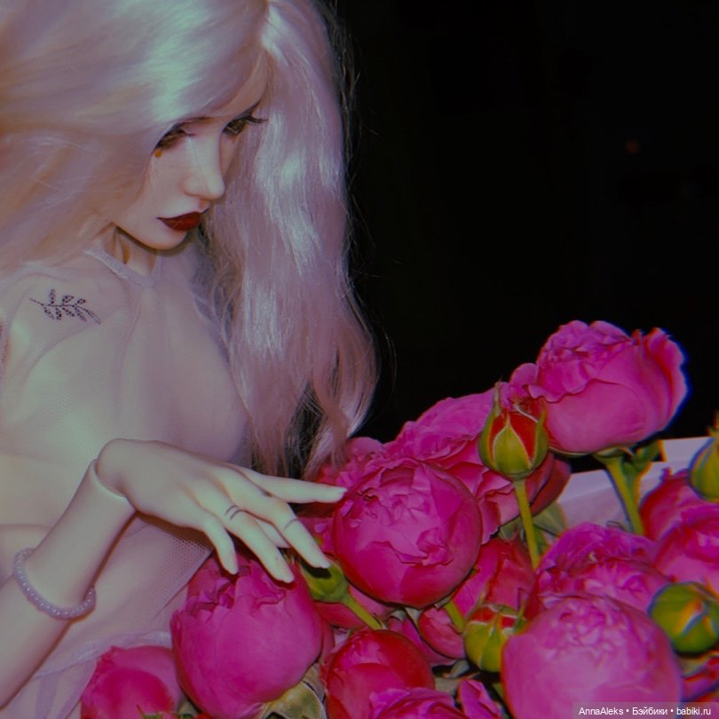 Dollshe Diana 61см с приданным (фото 4)