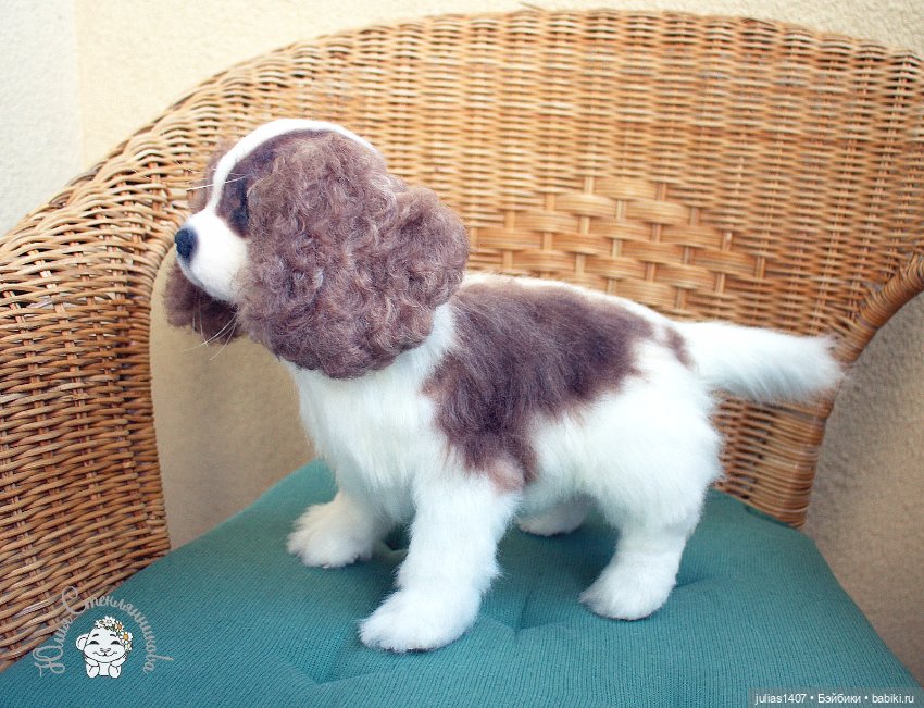 Щенок кавалер -кинг- чарльз спаниеля (фото 3)