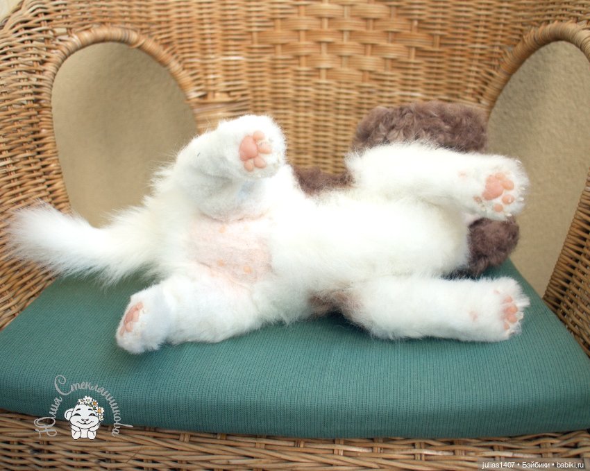 Щенок кавалер -кинг- чарльз спаниеля (фото 6)