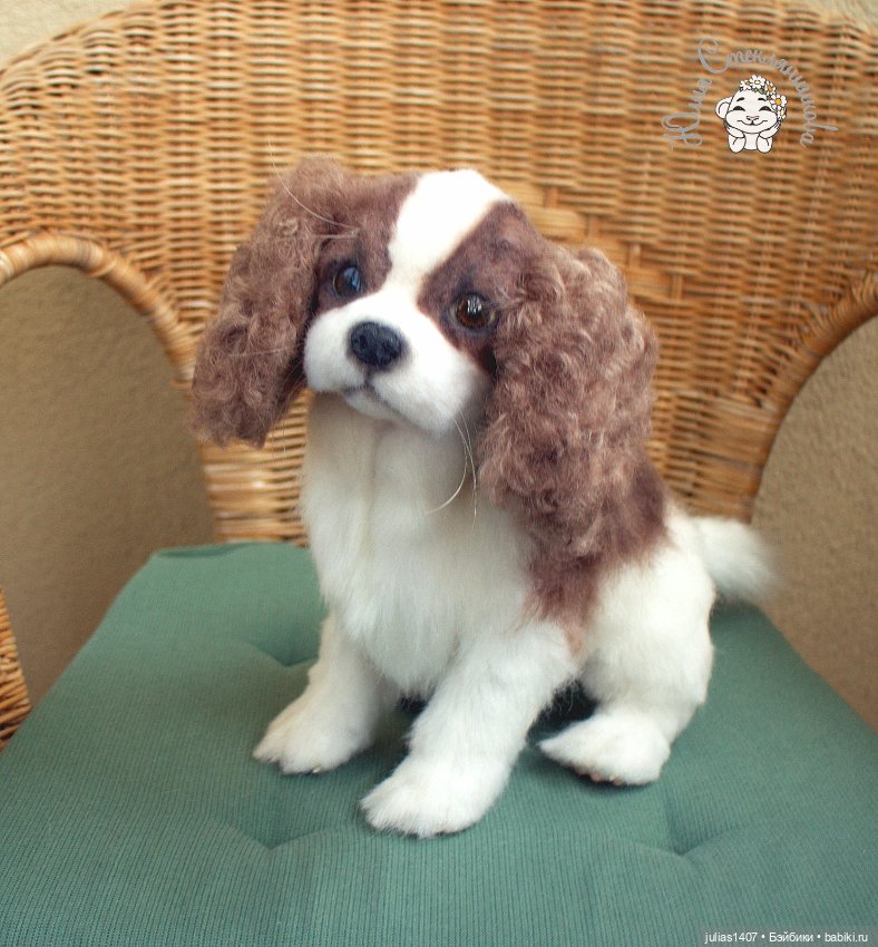 Щенок кавалер -кинг- чарльз спаниеля (фото 4)