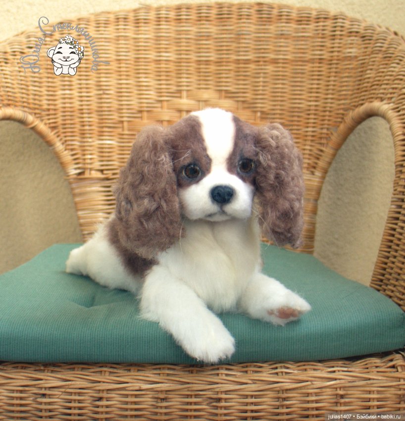 Щенок кавалер -кинг- чарльз спаниеля