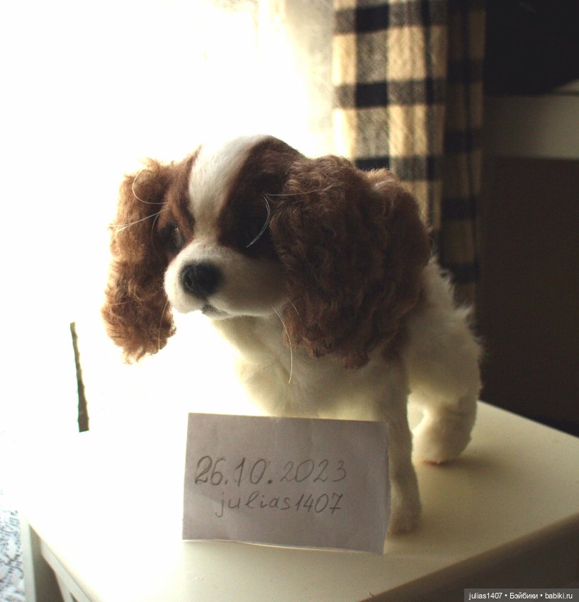 Щенок кавалер -кинг- чарльз спаниеля (фото 8)