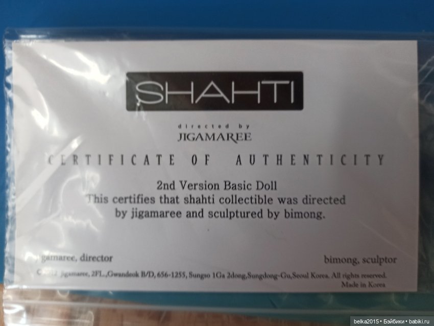 Редкая красавица - фэшн-куколка Shahti от Bimong - по супер цене (фото 9)