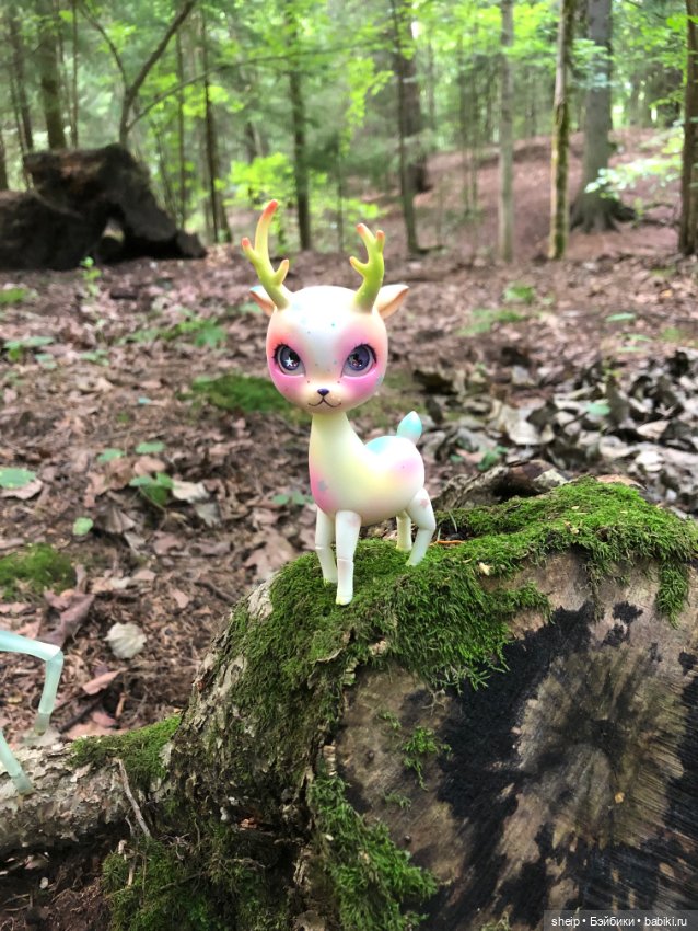 Оленёнок Лука Luca СРОЧНО ‼️ (фото 6)