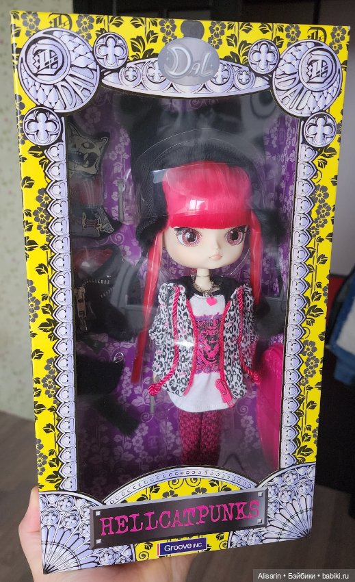 Dal Phoebe семейство пуллип