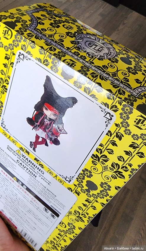 Dal Phoebe семейство пуллип (фото 5)