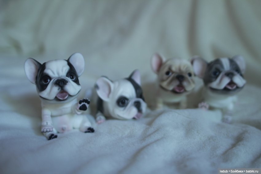 Шарнирный щенок французского бульдога (фото 4)