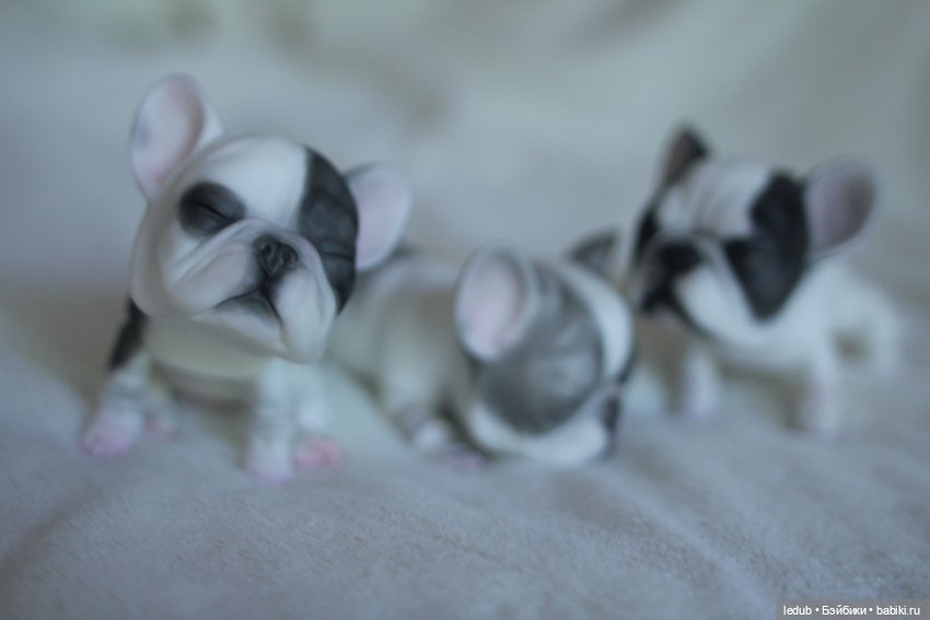 Шарнирный щенок французского бульдога (фото 3)
