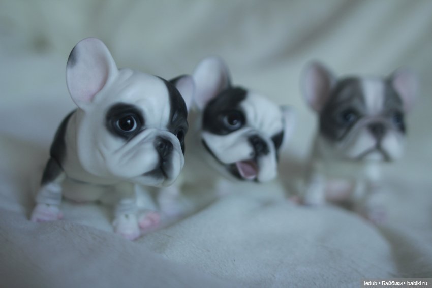 Шарнирный щенок французского бульдога (фото 2)