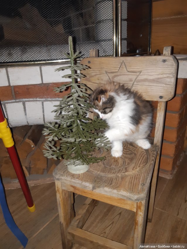 Стул дерево для антикварных кукол (фото 4)