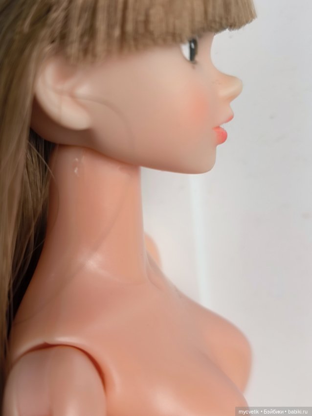 Momoko — Шарнирные куклы (не BJD) (фото 7)