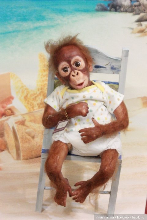 Маленький орангутанг (326.4) (фото 2)