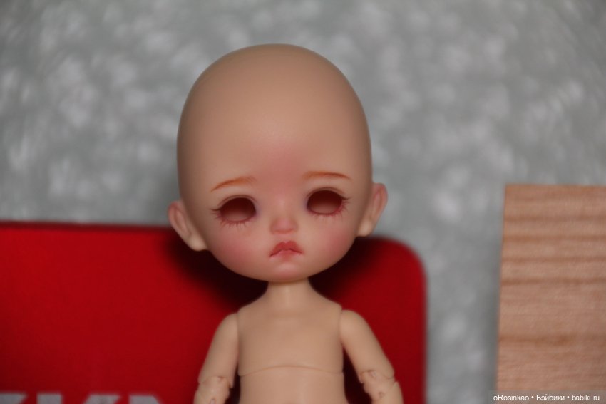 Продам скромного малыша Kkner (фото 3)