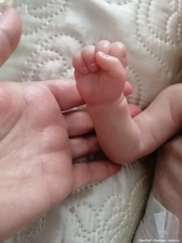 Очаровательная мия — Куклы реборн (фото 3)