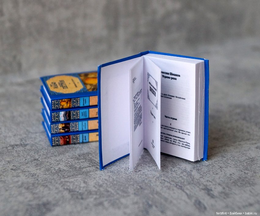 Книги "Классика" №12 в масштабе 1:6 (фото 4)